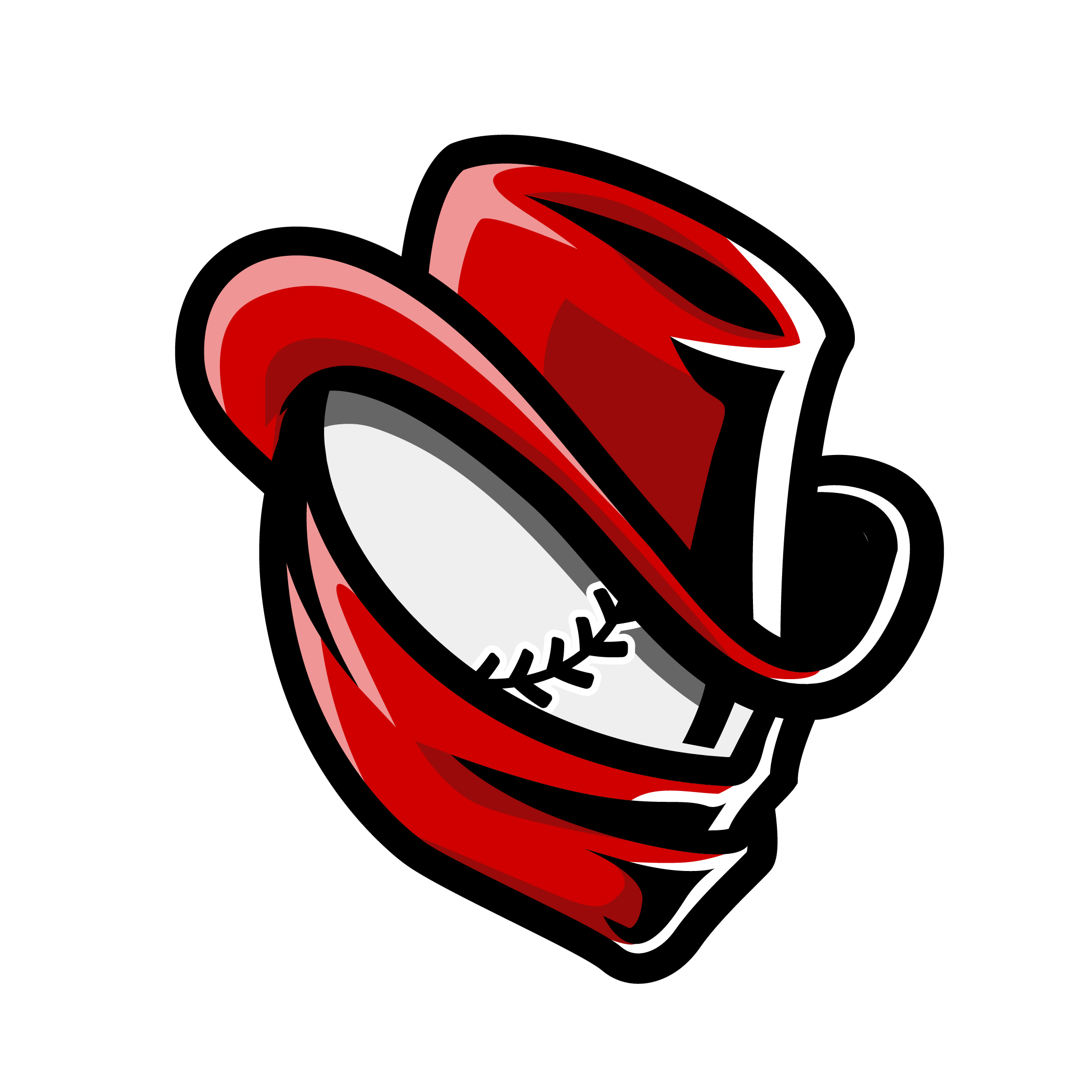 AHP Renegades
